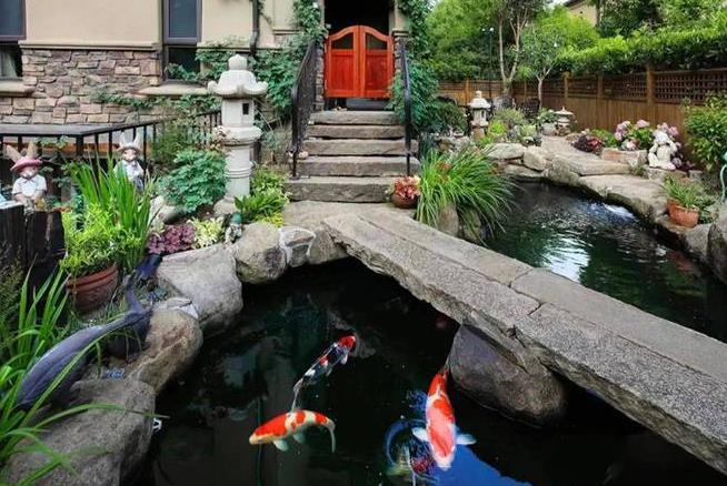 錦鯉魚池深度