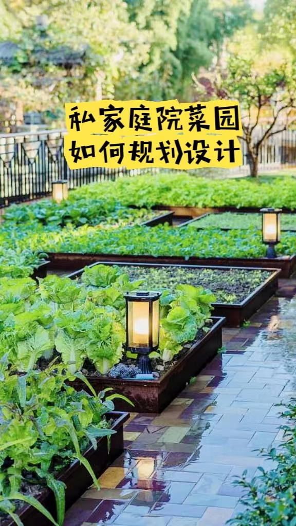 別墅庭院菜地規劃
