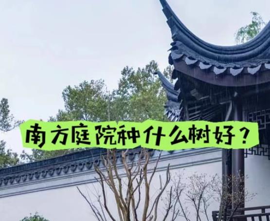 南方庭院適合種植什么樹?一些常綠、耐陰、喜濕、不怕熱的植物