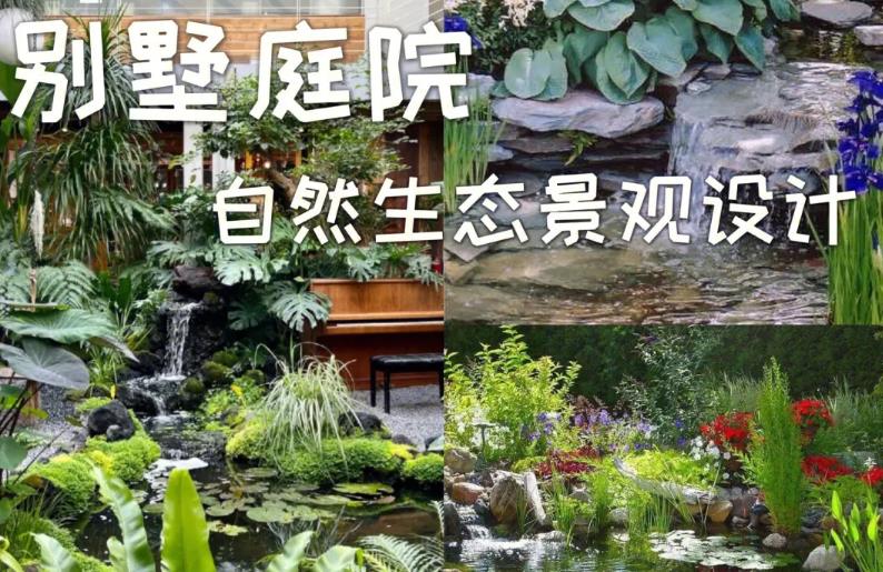 別墅庭院設計如何創造出優雅別具一格的水景?這五點不可或缺